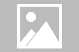 J联赛：町田泽维亚vs清水鼓动预测分析 清水鼓动能否阻止近期颓势
